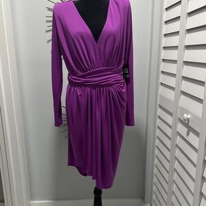 Express Long Sleeve V-Neck Dress in Vibrant Magenta